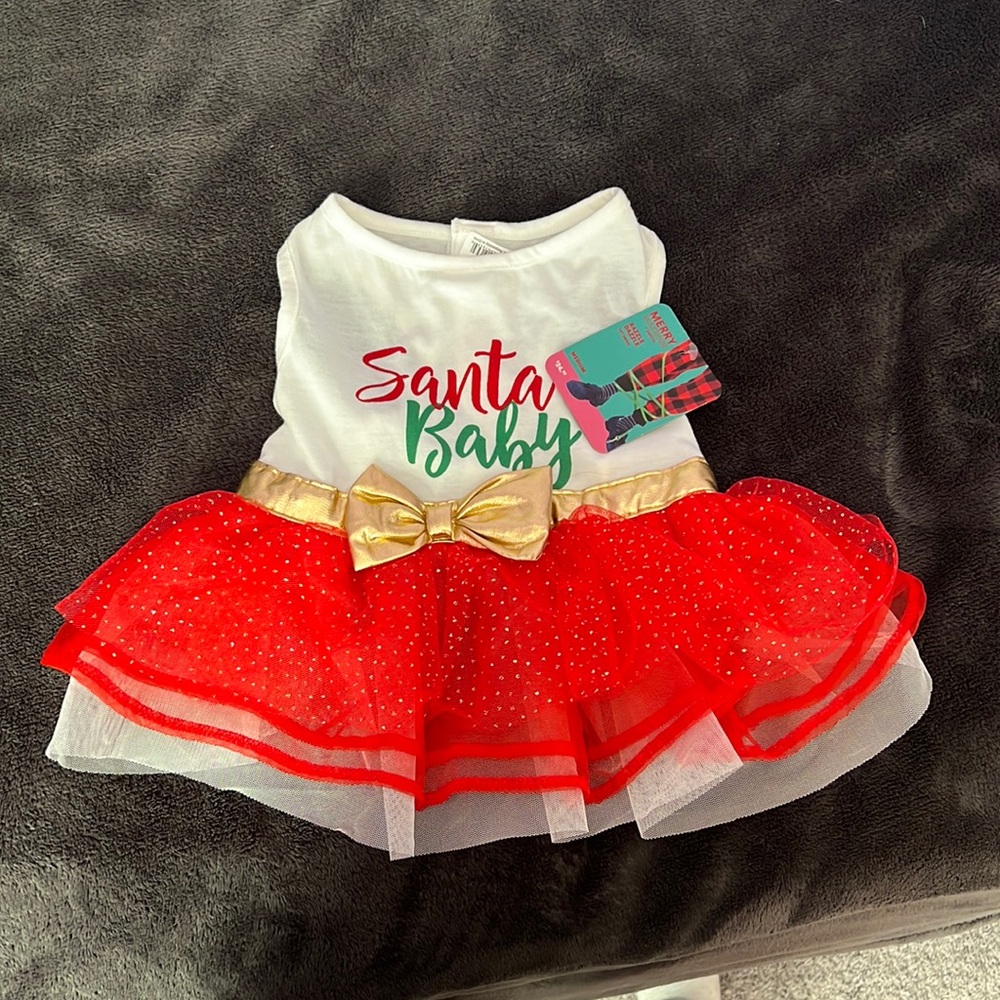 Santa Baby Dog Dress